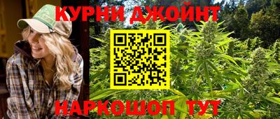 молекула духа Бийск