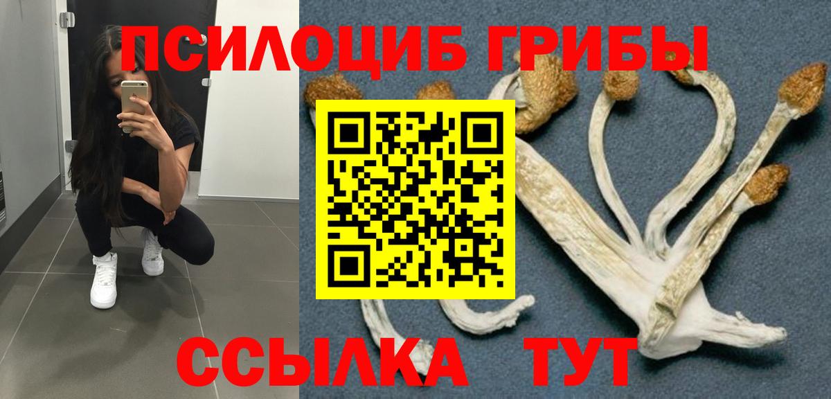 Галлюциногенные грибы MAGIC MUSHROOMS  Галлюциногенные грибы Magic Shrooms  Зеленодольск  Вход с VPN 